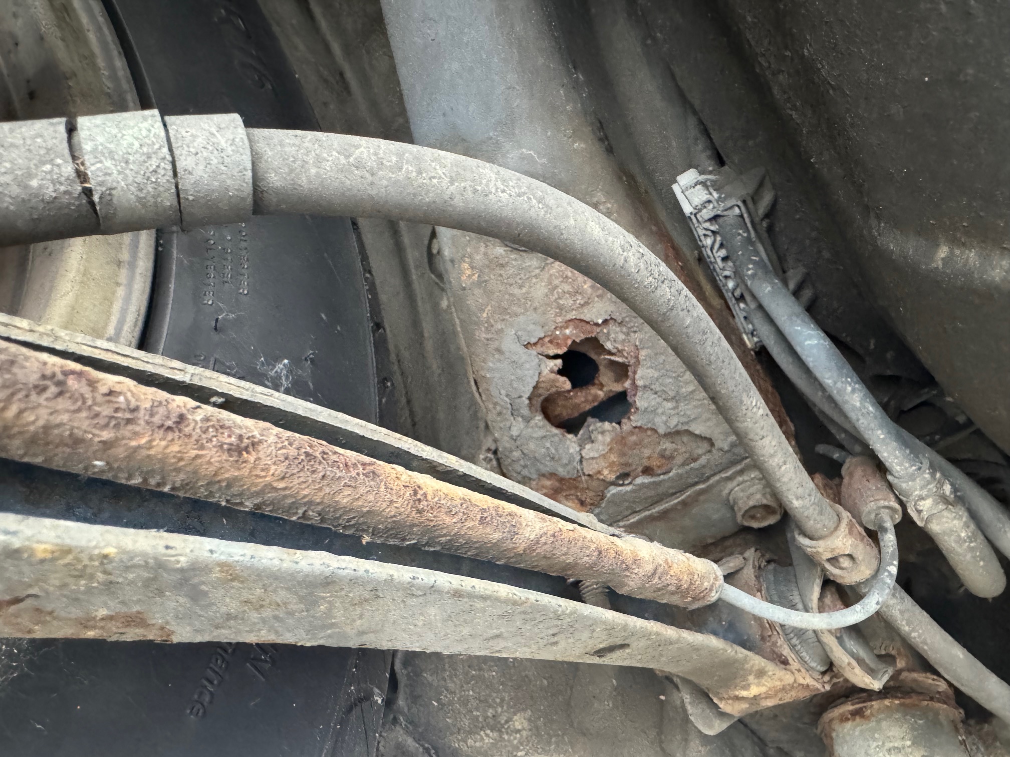 rusty subaru forester